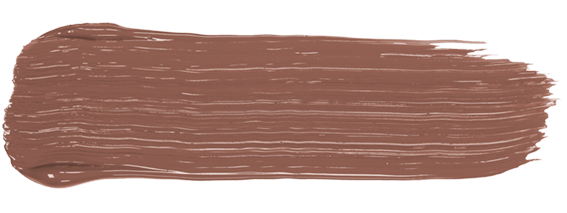 amiea Mahagony F-B550 Mahagony paint stroke from Evolutionline, color for eyebrows
