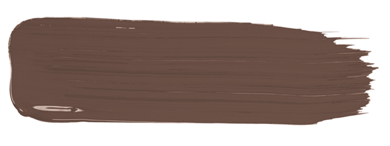 amiea Olive Tree F-B566 Olive Tree paint stroke from Evolutionline, color for eyebrows