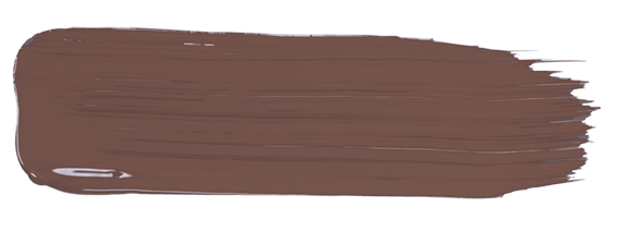 amiea Velvet Brown F-B545 Velvet Brown paint stroke from Evolutionline, color for eyebrows
