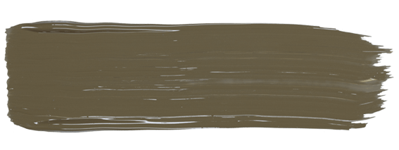 amiea Wood Treasure FXA600 Wood Treasure paint stroke from Evolutionline, color for eyebrows