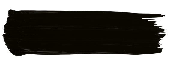 amiea Deep Black F-BL020 Deep Black paint stroke from Evolutionline, color for eyeliner