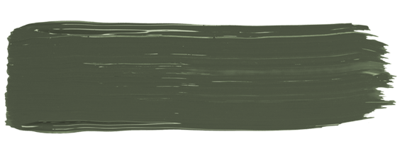 amiea Corrective Olive FXOL530 Corrective Olive paint stroke from Evolutionline, camouflage / corrective Pigements