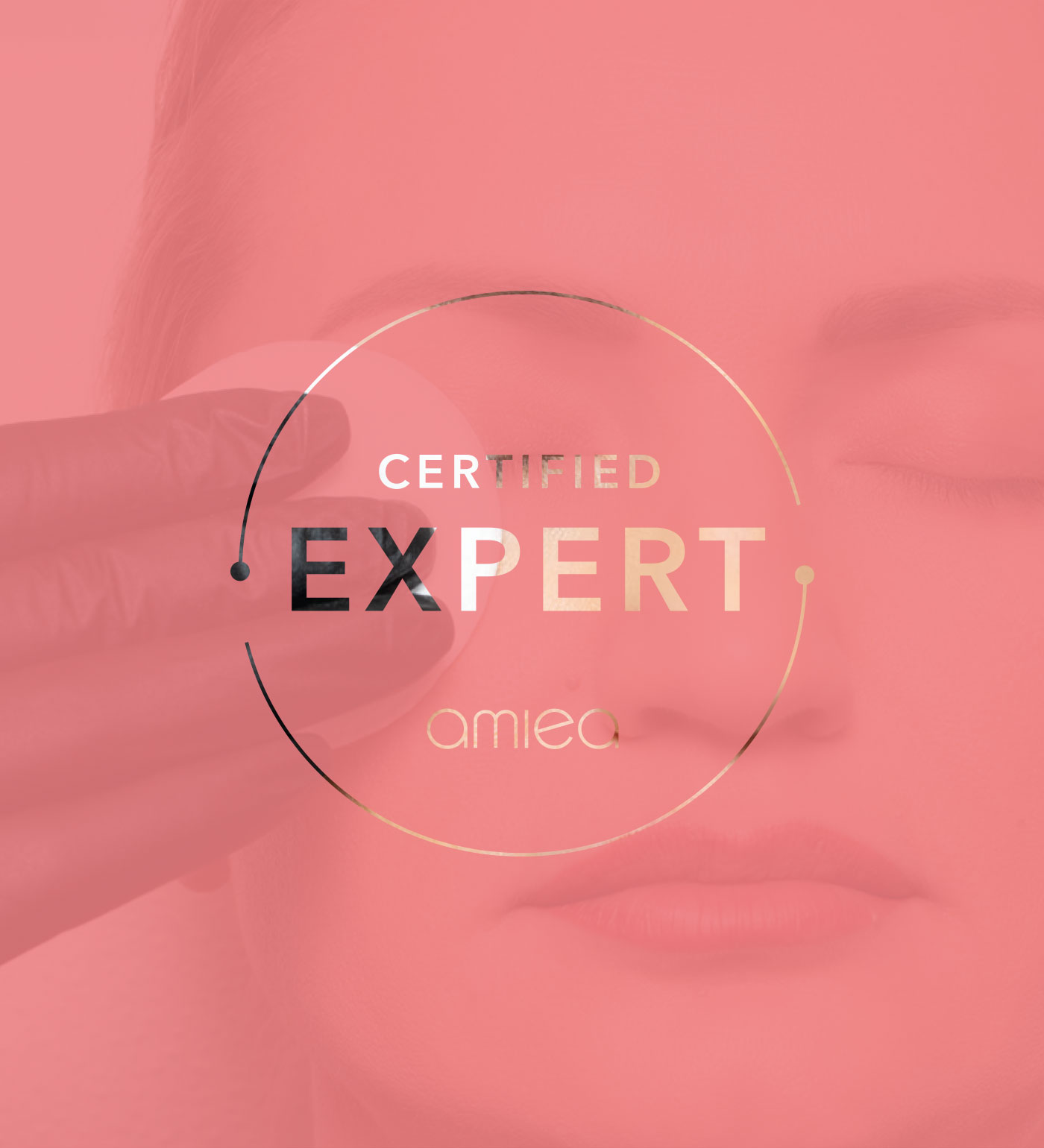 Level 2 - amiea certified Expert amiea certified Expert-Logo auf tuerkisem Hintergrund