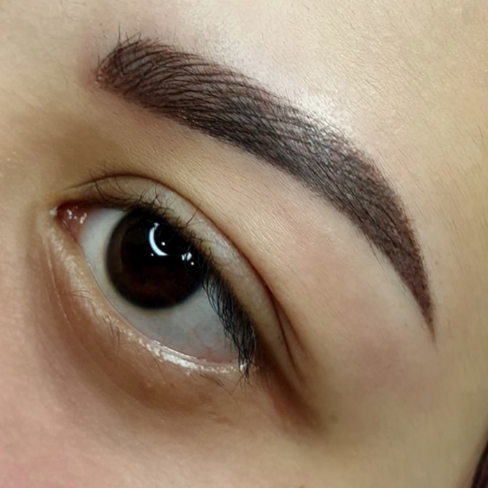 Close-up of eyebrows with permanent make-up (PMU) by amiea International Master Trainer Suzé Steyl, result of an eyebrow treatment with PMU