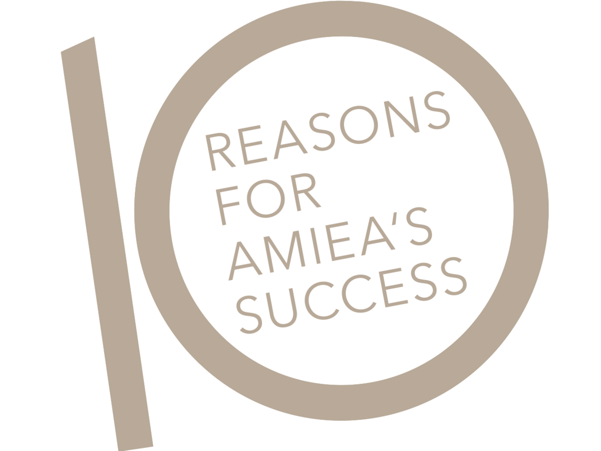 an icon for the 10 reasons for amiea's success